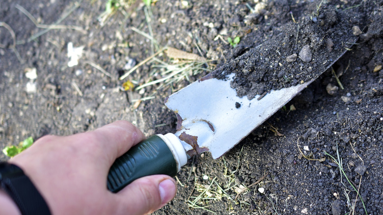 A hand holding a trowel with a wooden handle in front of a garden bed