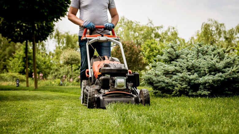 Person mowing lawn