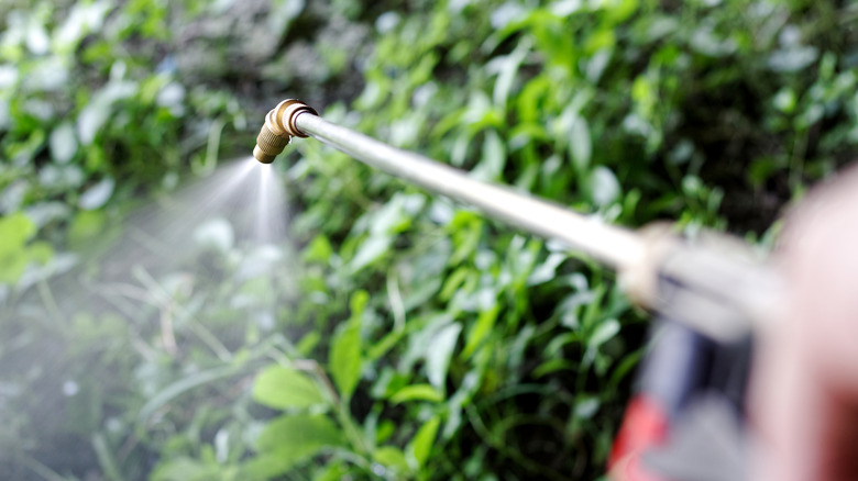 Equipment spraying pesticide on lawn