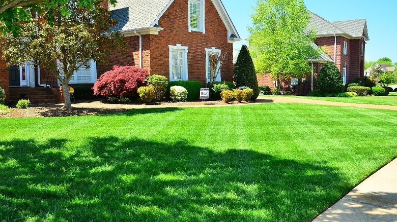 manicured lawn of brick home