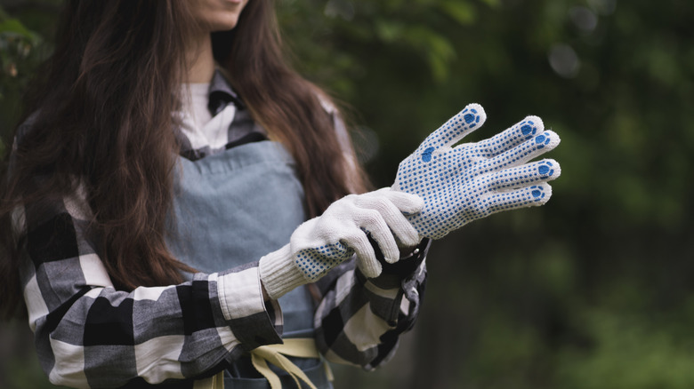 woman wearing long sleeves puts on protective gloves in garden