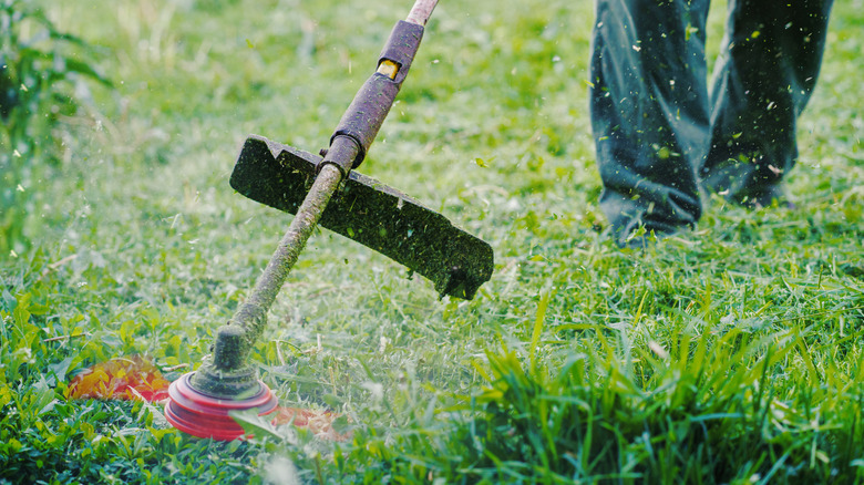 brush cutter cutting grass