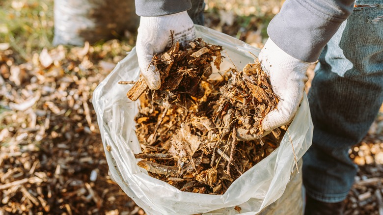 Gloved hands holding mulch