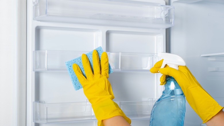 person cleaning refrigerator