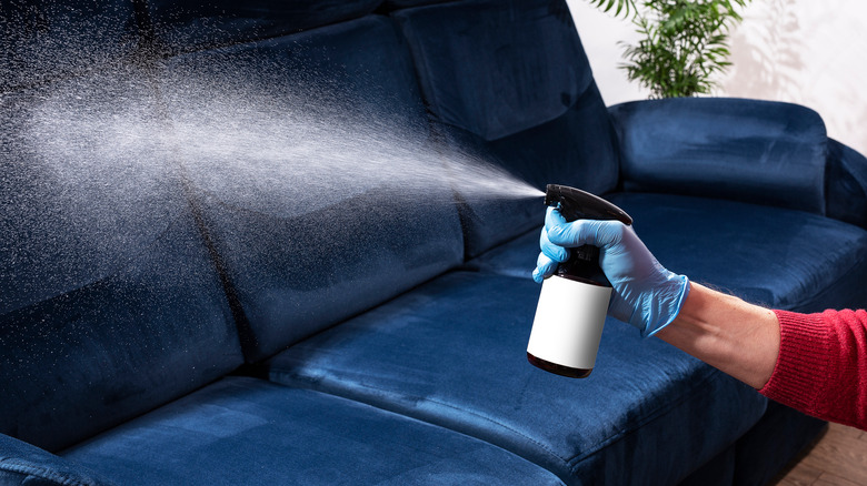 person spraying couch