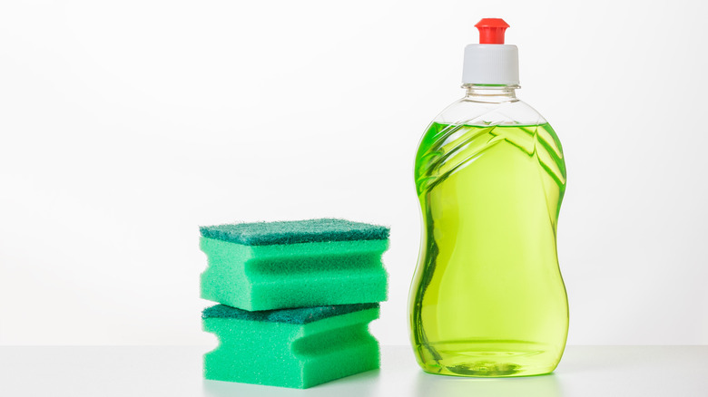 bottle of dish soap and sponges