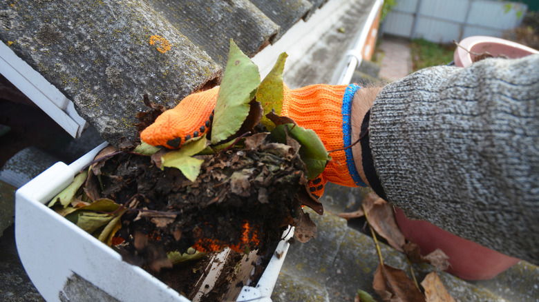 Person cleaning their roof gutters