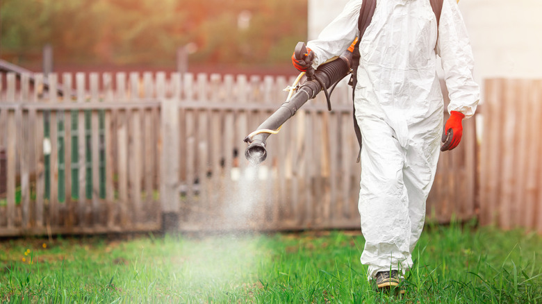 Person spraying for mosquitoes