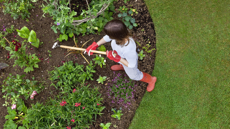 Woman removing weed from garden