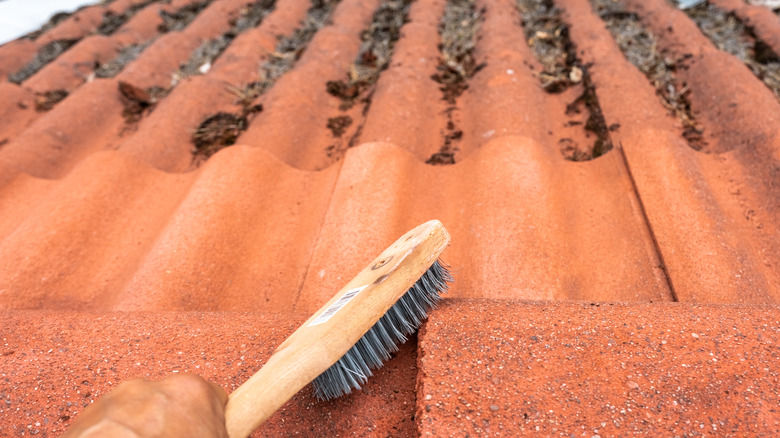 Wire brush on roof