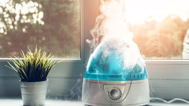 humidifier on table next to plant