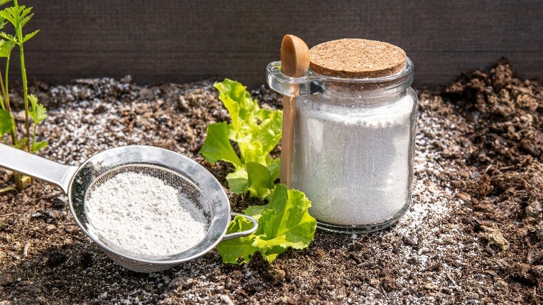 Diatomaceous earth powdered pest control 