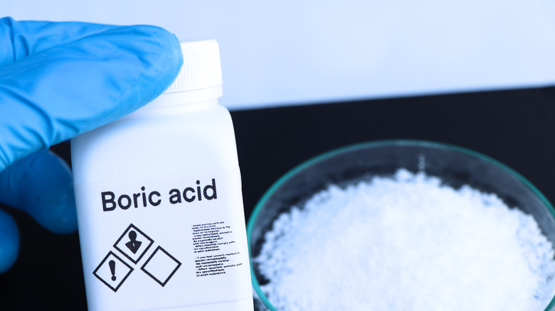 Person wearing a gloves holding a bottle of boric acid