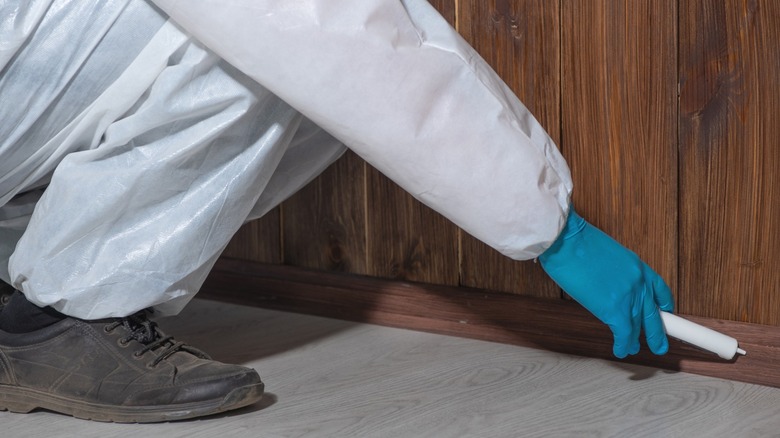 Person injecting termite treatment into wood