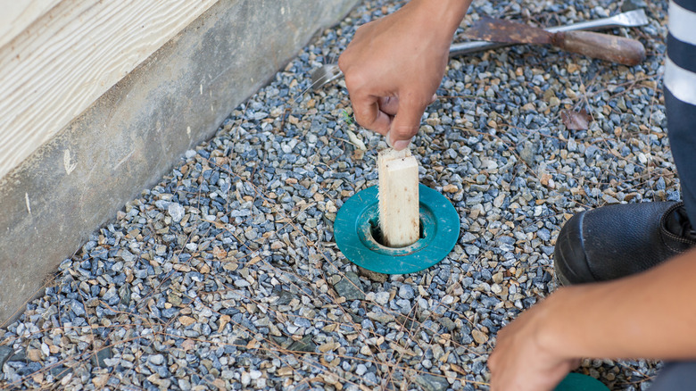 Person replacing termite bait trap