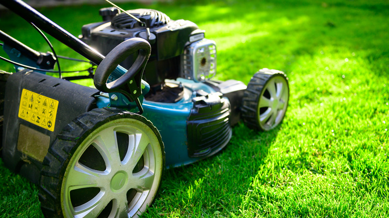 Lawnmower on short grass