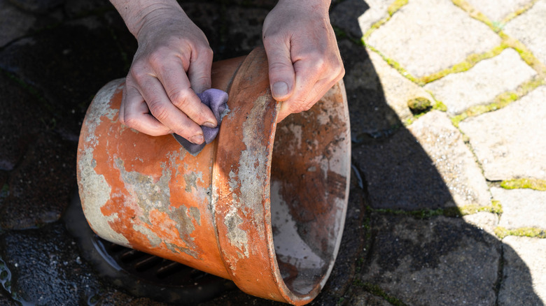 Man cleans plant pot