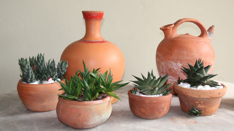 terracotta pieces with salt stains