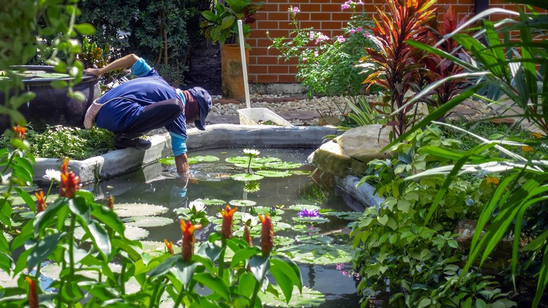 Man cleaning a garden pond