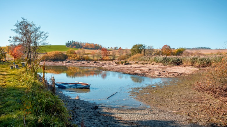 Autumn morning at drained pond