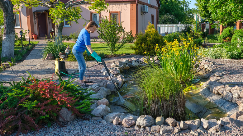 Woman pressure-washing pond rocks