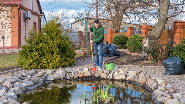 Man rakes debris from garden pond