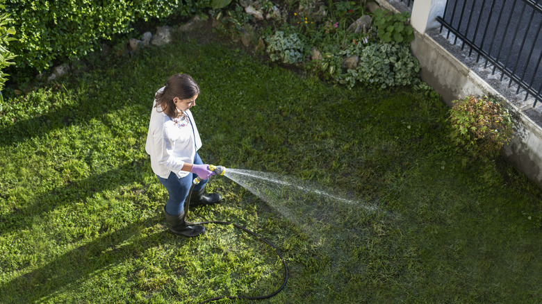 woman watering lawn 