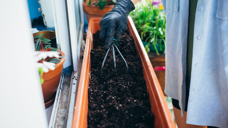 hand preparing soil in planter