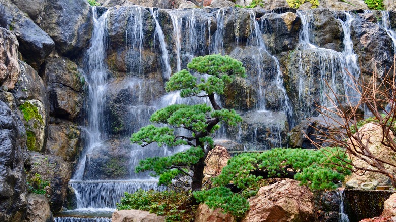 Bonsai with waterfall
