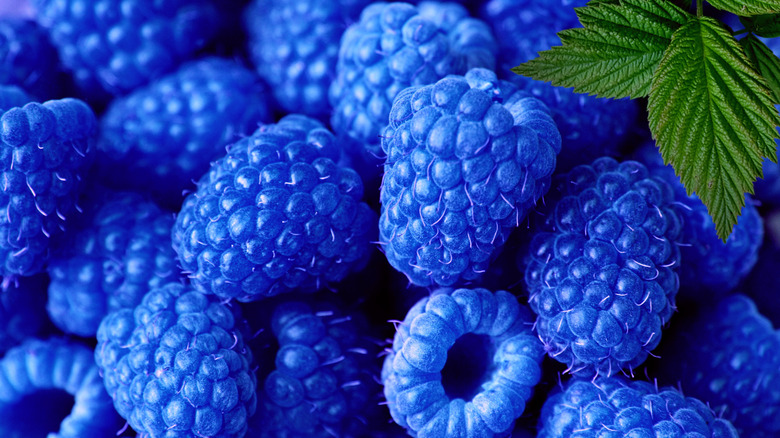 Cobalt blue raspberries