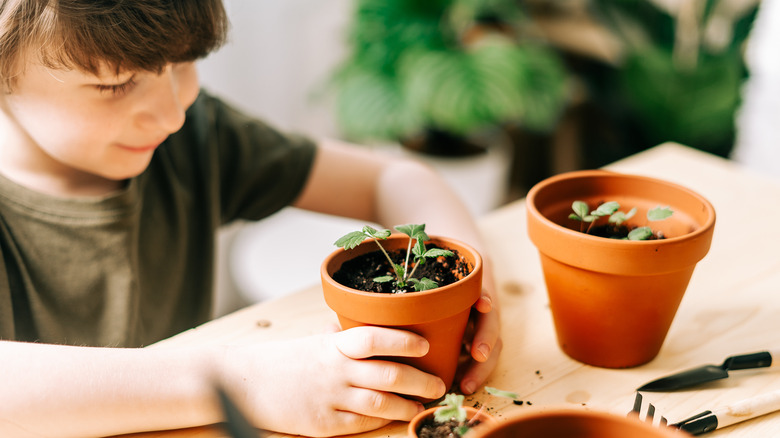 Child with potted strawberry plant