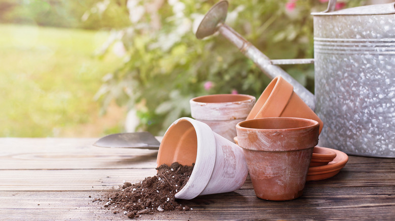 Terracotta pot and watering can