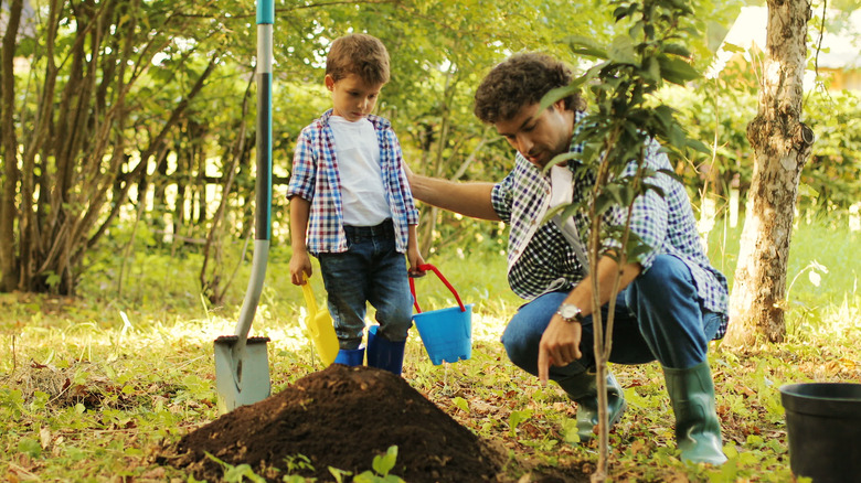 boy father planting tree