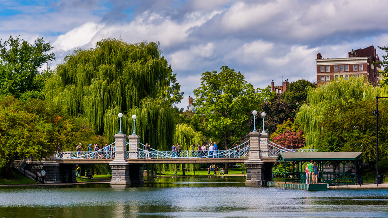 Weeping willows surrounding bridge