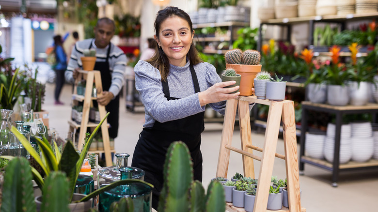 greenhouse employee with cactus