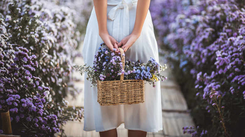 Woman holding basket of asters