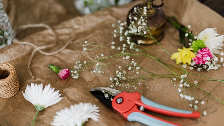 Dried baby's breath flower