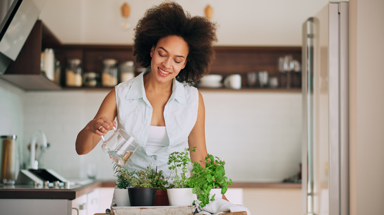 woman tending to herbs