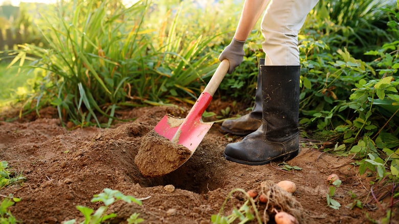 Person digging hole in garden