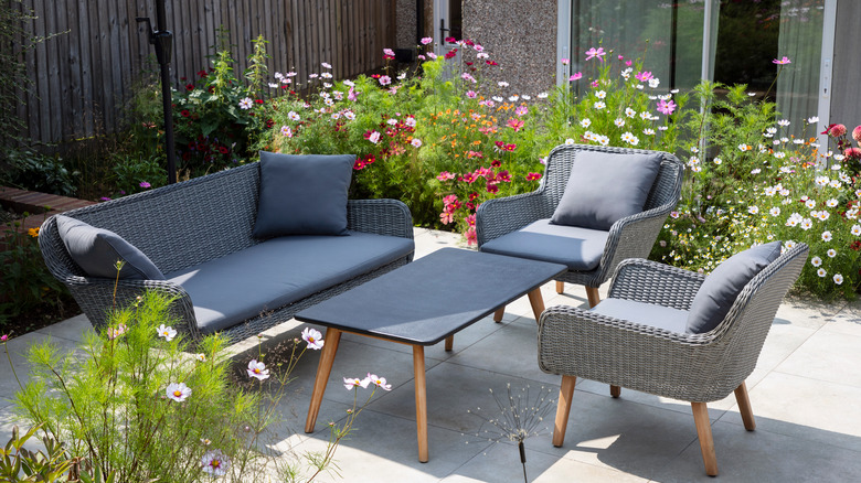 patio with cosmos flowers