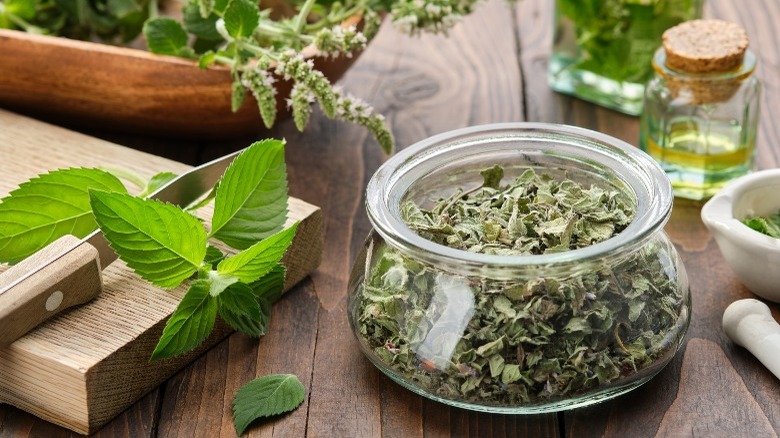 Peppermint leaves and herbs 