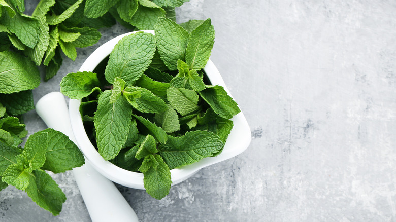 Peppermint in a small bowl