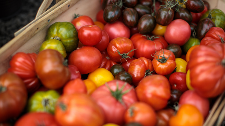 tomato varieties