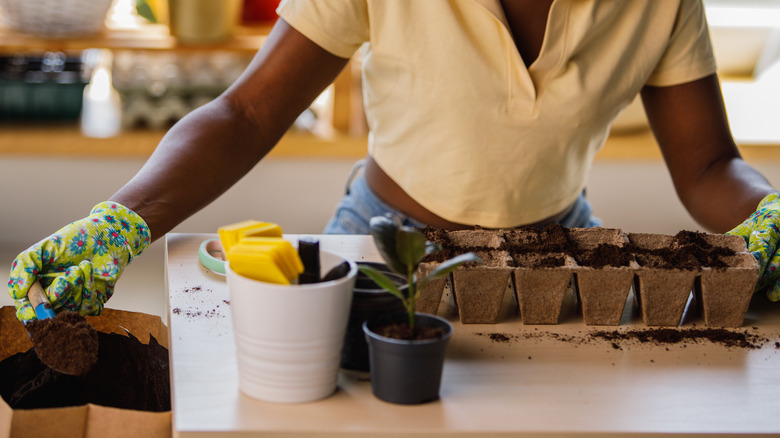 Person planting seeds in a starter tray indoors