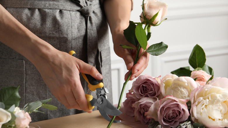 woman cutting flower stems