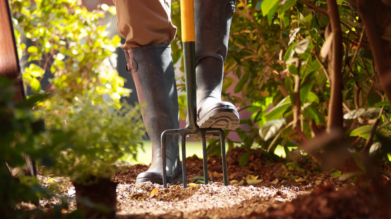 person preparing soil with pitchfork