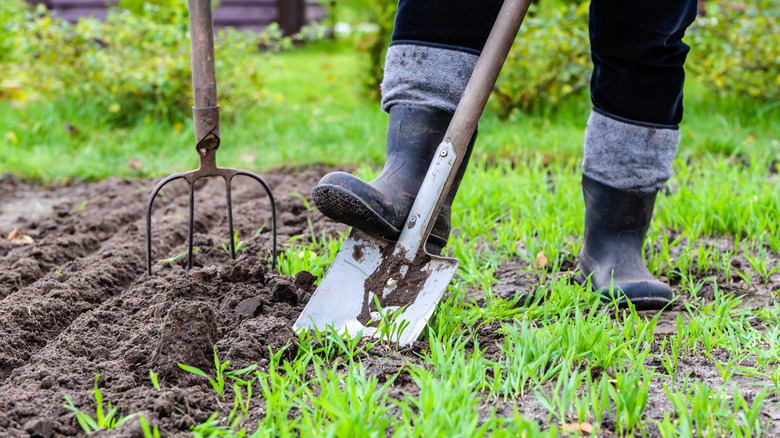 gardener preparing soil