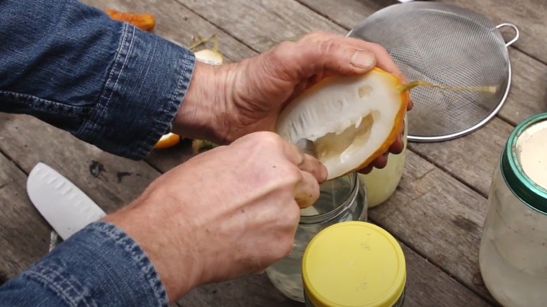 Cucumber seeds should be fermented and dried before storing.