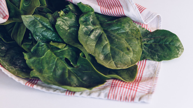 Washed spinach wrapped in towel