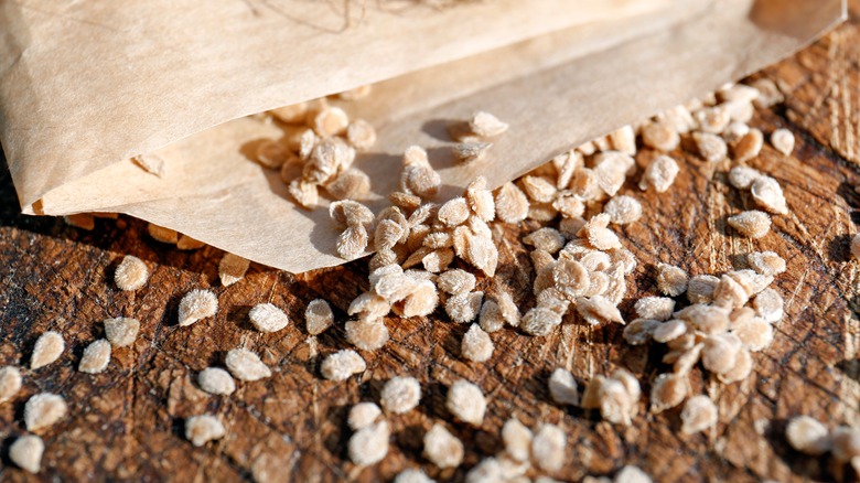 dried tomato seeds